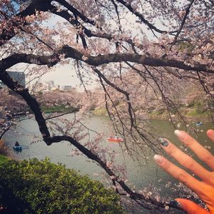 国产欧美精品一区二区
